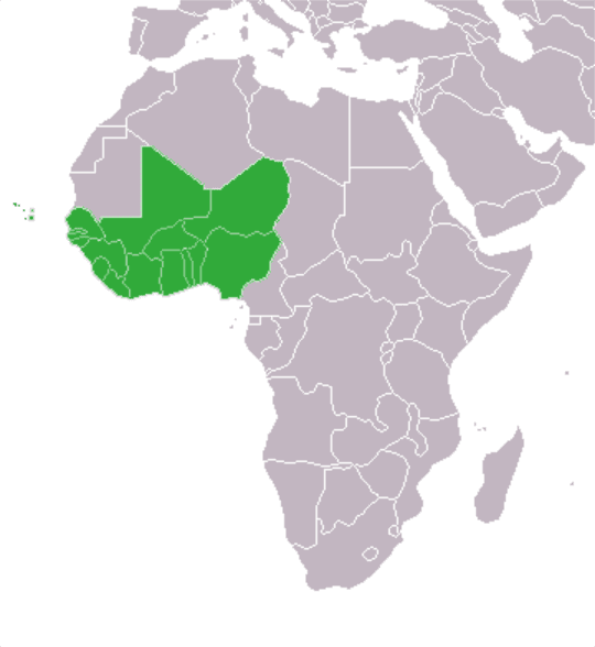 Hablan los obispos, aunque sirva de poco