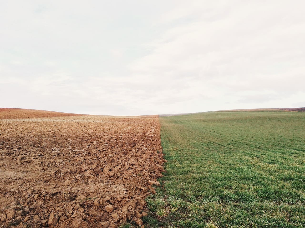 farmland-801817_1280.jpg