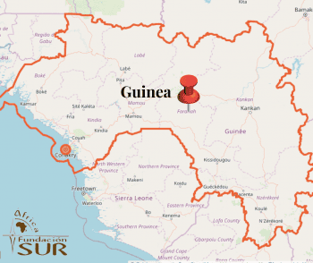 Guinea envía una unidad de protección ambiental a Liberia para buscar dos elefantes perdidos