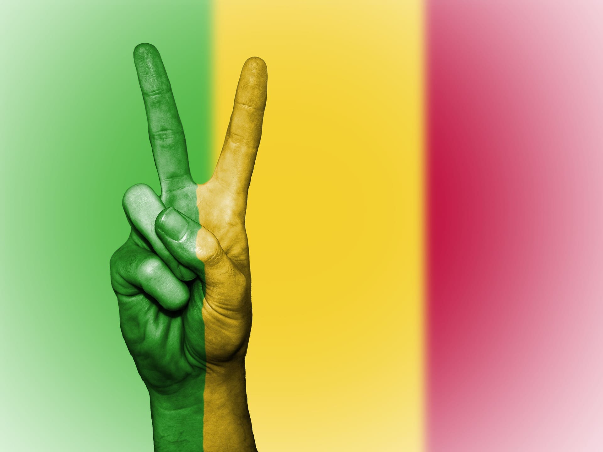 mali-2131288_1920-2.jpg