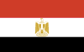 Egipto muestra su apoyo a Libia en la lucha contra la covid-19