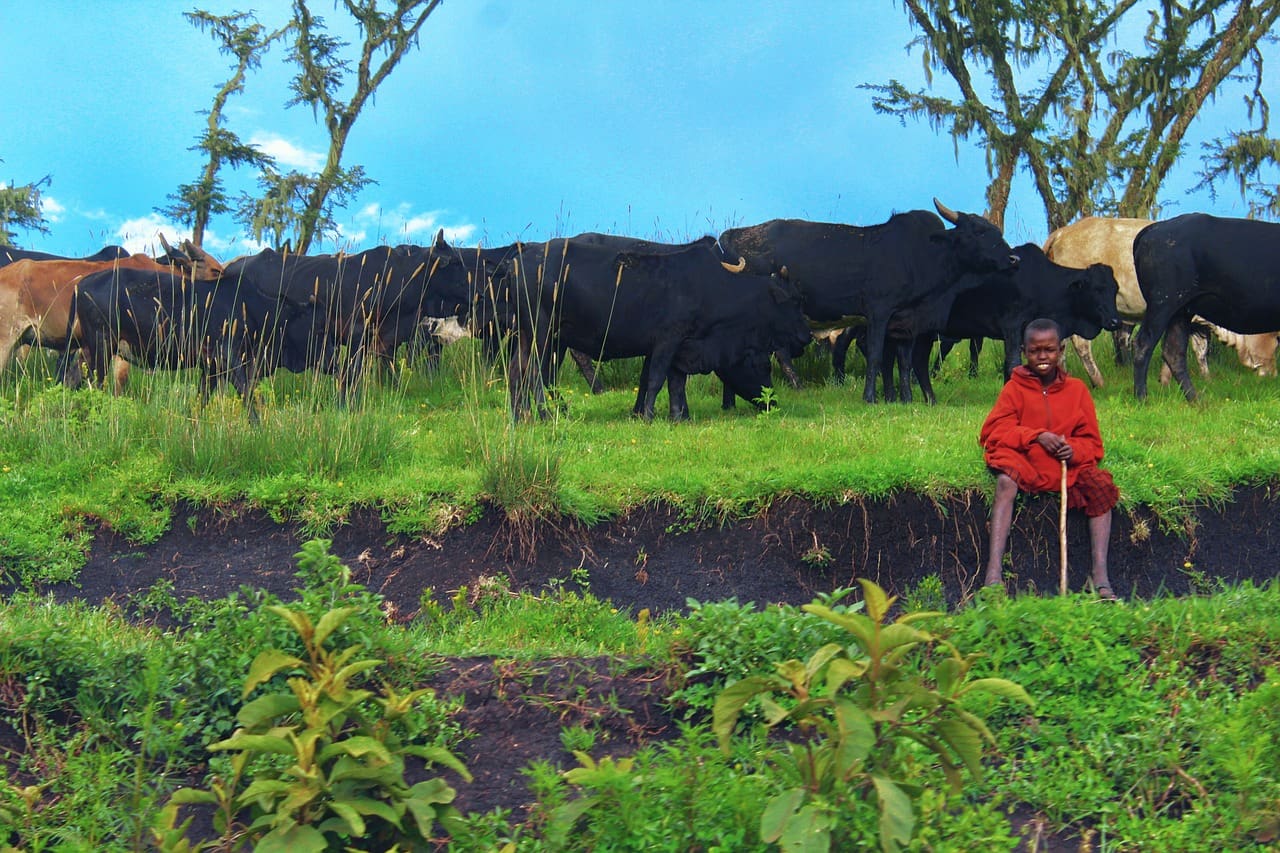 Territorio Masai: ¿Zona de guerra?, por Bartolomé Burgos